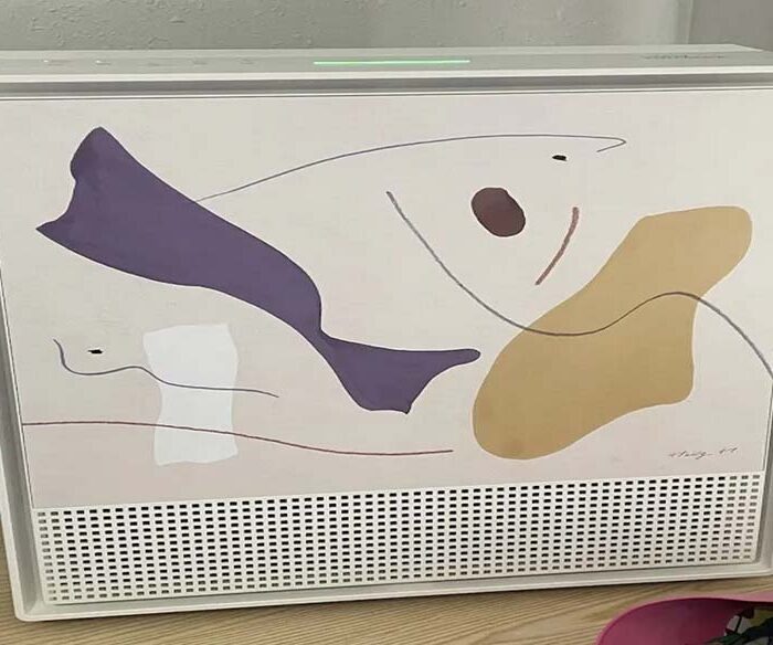 Elevating Air Purification: The Airmega 250 Art