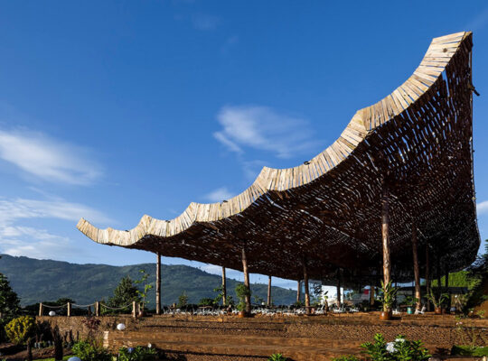 Embracing Nature at Nguyen Coffee